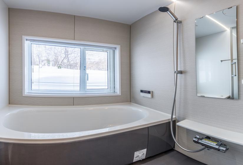 walk-in shower and tub