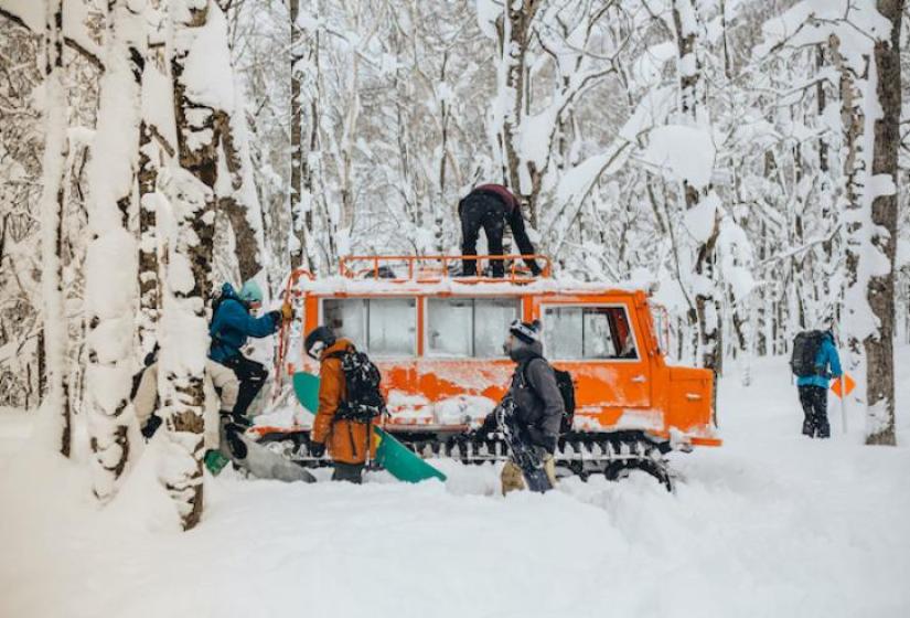 A snow cat in snowy trees