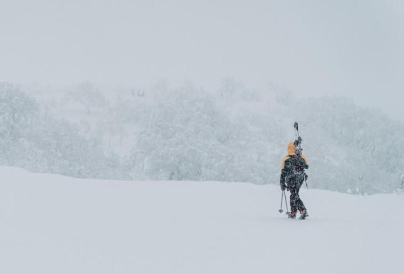 The ever beautiful Niseko backcountry A skier looks across snowy trees
