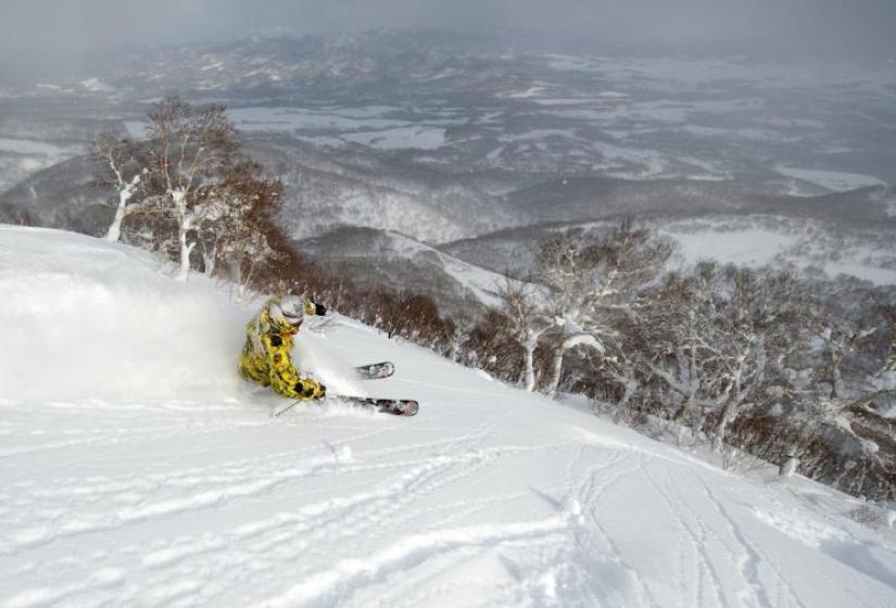 A skier makes a turn in fresh snow with snowy trees in the back ground