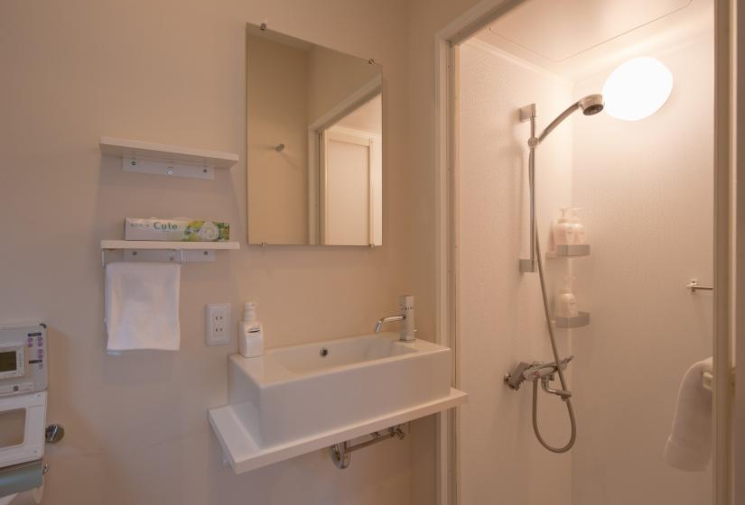 Unit shower with sink and mirror