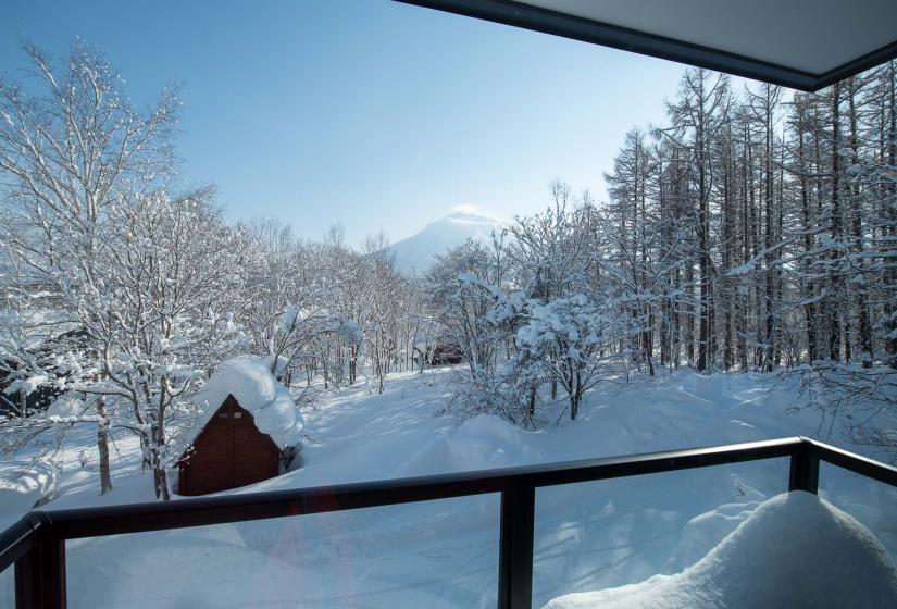 A balcony view of a snowy landscape